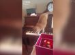 Котка се уплаши от пиано